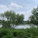 세븐일레븐 여주신륵사점 이미지