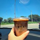 컵히커피 | [강릉맛집] 강릉 커피 맛집 투어｜툇마루, 갤러리밥스, 이진리 어디가 제일 맛있을까?