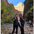 자이언(ZION) | 여행] 아이와 라스베가스 여행기 #7: 근교 투어 자이언 국립공원(Zion National Park) 당일치기 실전 후기