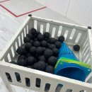[가산 스쿼시 운동 후기] 초보자도 배우기 쉬운 스포츠 서울 스쿼시 가산점 후