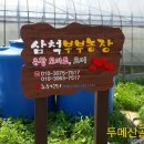최영자농장 네이버블로그