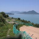상화도