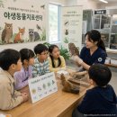 부산야생동물치료센터 | 부산 아이와 가볼 만한 곳 - 부산 야생동물 진료체험 교실