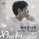 카이콘서트 Ambrosia 이미지