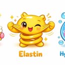 산돌한의원 앞 이미지