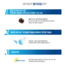 본안경풍암점 이미지