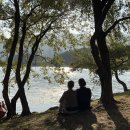 행운스테이 이미지