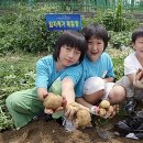 목상동 주민센터 이미지