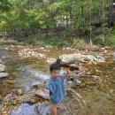 금산산림문화타운캠핑장 | 대전 근교 캠핑장 추천, 금산산림문화타운(구 남이자연휴양림) 명당자리 추천!