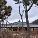 배동 | [핫플 한옥 카페]경주 배동 노경보차라파 솔직후기