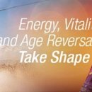 참 글로벌 이미지