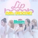 미니블룸mini_bloom