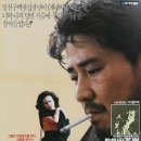 여우세상