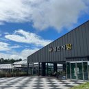 용인대 꿈나무 태권도 이미지