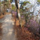 천보산 등산로체육시설