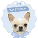 제쥬엔 | 제주도 애견동반펜션 :: 독채형 잔디 앞마당으로 시골 전원주택 같은 제쥬엔