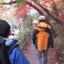 대성빨래터 이미지