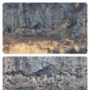 아우라지 이미지