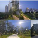 서운초교길 이미지