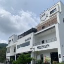 비더블유6276