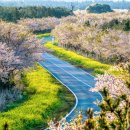 신산보건진료소 이미지