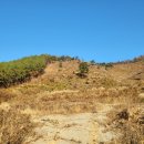 청전목장 이미지