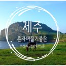 히끄네 농장 & 스테이 오조 | 제주 감성숙소 추천 – 혼자 머물기 좋은 오션뷰 힐링 공간 5곳