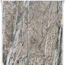 충주호 종댕이 이미지