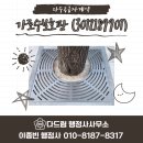 가로수 행정사 사무소 이미지