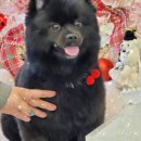 88개발소 네이버블로그