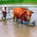 카타나 펜션 이미지