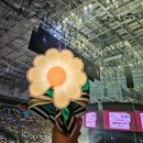 웨이브트리(주) | 2026.02월 겨울 안녕 - 첫 팬미팅, 늦은 트리 정리, 설맞이 제주가족여행, 결혼 4주년