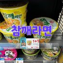 지에스25 남양월드점 티스토리