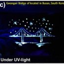 중앙페인트