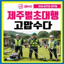 제주벌초
