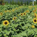 황산가든 이미지