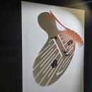 빈센트 | 빈센트 발 : SHADOWGRAM 전시 후기｜잠실 MUSEUM209에서 만난 그림자 상상력