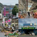9번청과 | 부산 시장투어 여행 엄궁농산물도매시장 청과시장 나들이