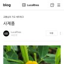 [교황님의 기도 네트워크] 사제품 이미지