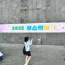 수영교 | 부산 4월 행사, 부기런 후기(부산을 사랑하는 부기와 함께한 하루)