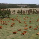 제동농장 이미지