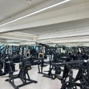 하우스 아움 이미지