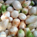 토란식당 이미지