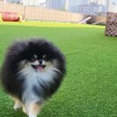 마이리틀메이트 이미지