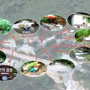 새밭민박 이미지