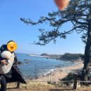 클라우드 나인 | 포항 클라우드 나인 가족펜션 후기 복층 36평, 노래방 있는 단독주택 감성 숙소