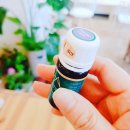 남원읍-31 이미지