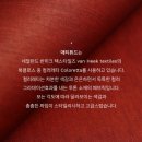 도트앤플로우 | 2024년 내 취향 제본형 다이어리 추천 모음2.zip (feat. 텐바이텐)