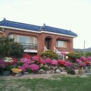 정가네 민박 이미지