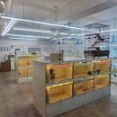 펫엔글라이더 이미지